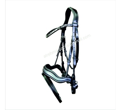 Leather Bridle 